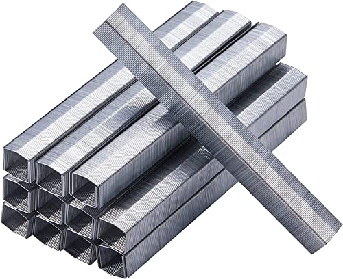 Minimalist Bostitch B8 Staples 1/4 Inch PowerCrown Staples - Set